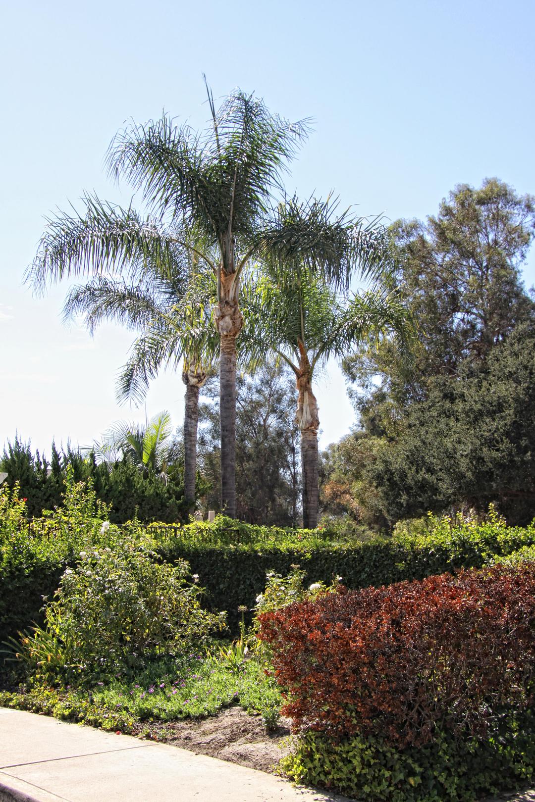 Work Image